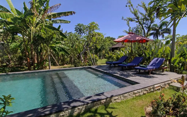 Pazzo Bali