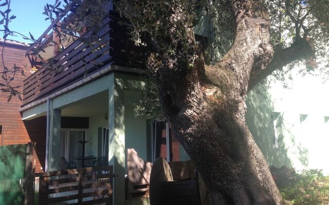 U Pampasgiolu - Chambres d'Hôtes