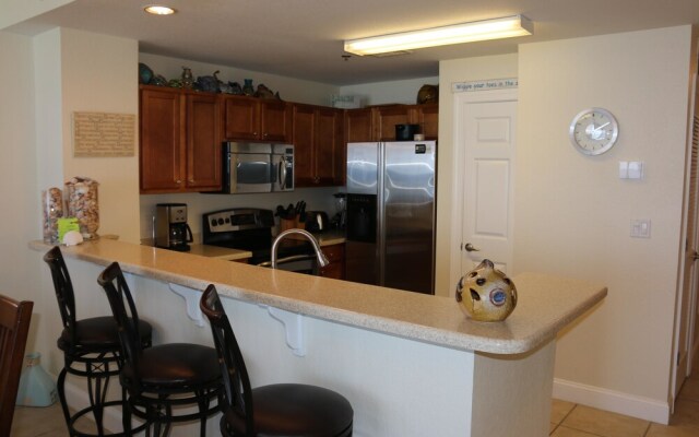 Emerald Dolphin by Surfside VR