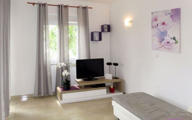 Lavanda (SRD460)