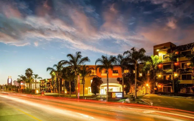 Gamma Tijuana