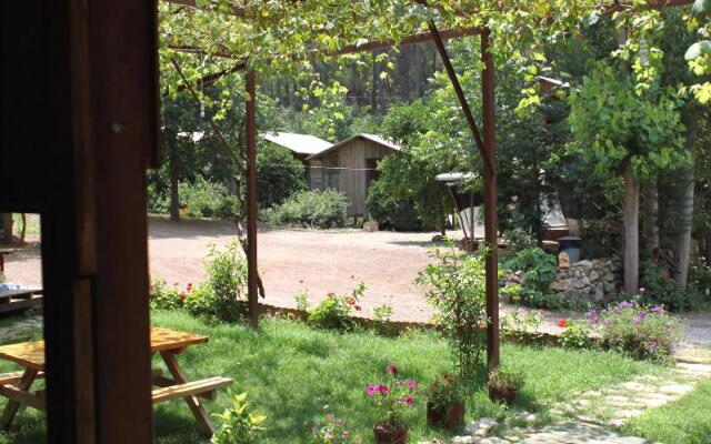 Camlik Pansiyon - Adults Only (16+)