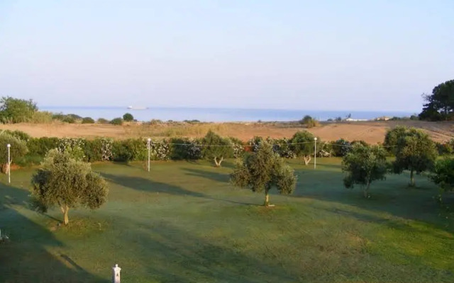 Lintzi