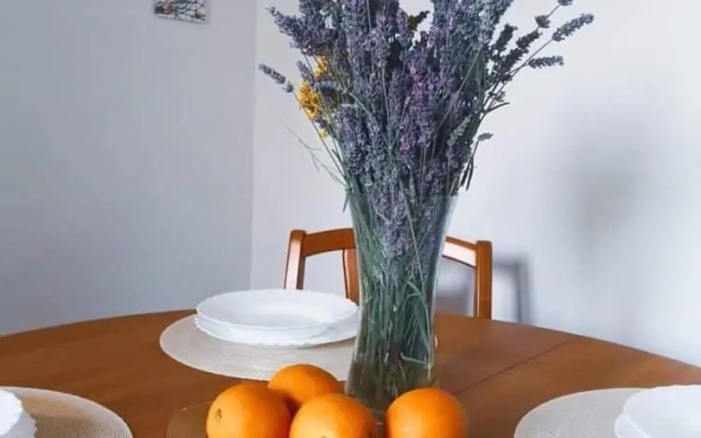 Studio Mojca