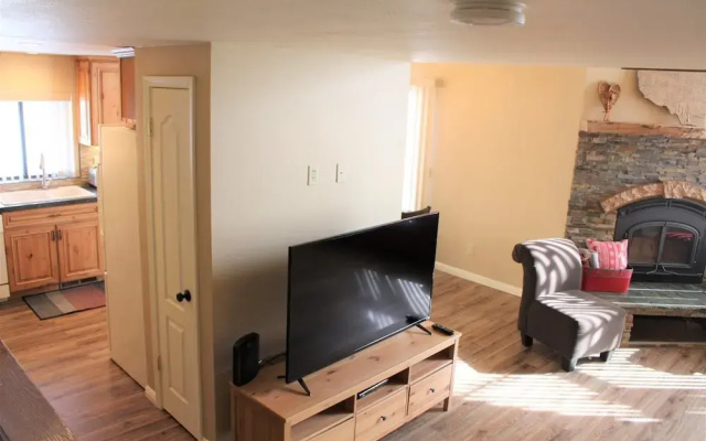 Edgewater 19