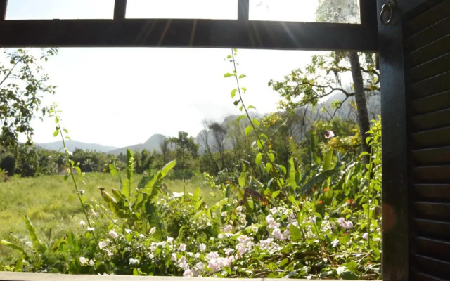 Rio Natureza apart 114