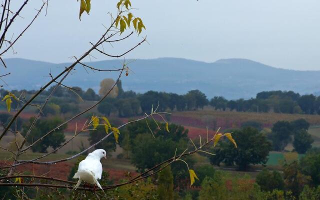 Poggio Neriolo