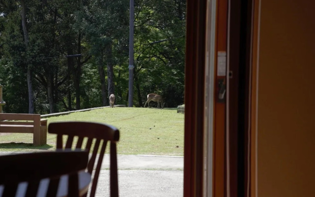 Mountain Home Lodge in Deer Park