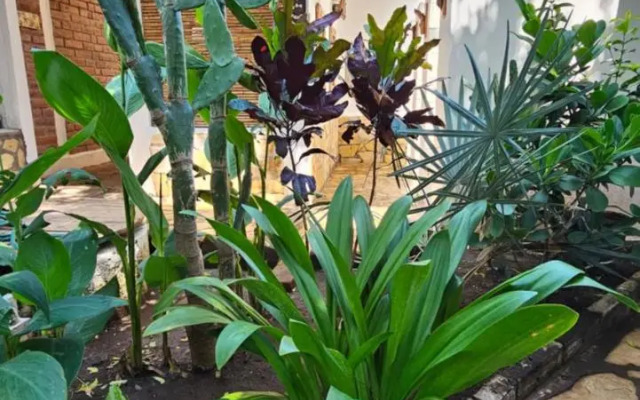 Mano a Mano Eco Hostal