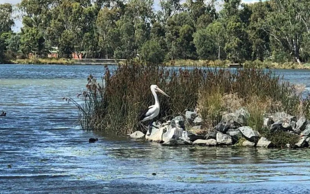 Lovely 2 bedroom apartment across from Shepp Lake.