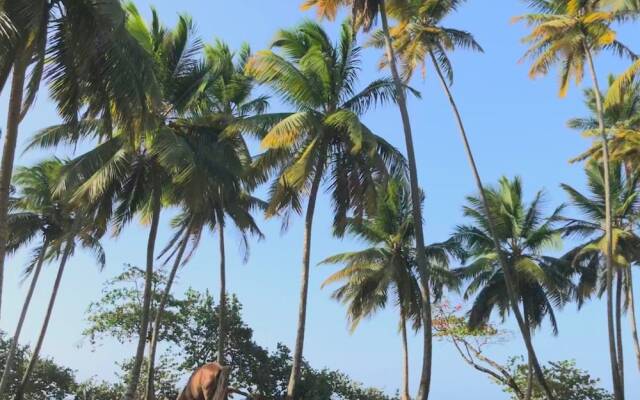 Samana Ecolodge