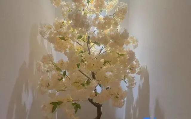 Sanshe Riverside Homestay