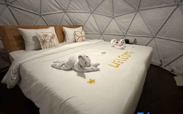 Glamping @ Pebbles & Fins