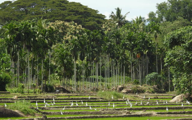 Jetwing Kaduruketha