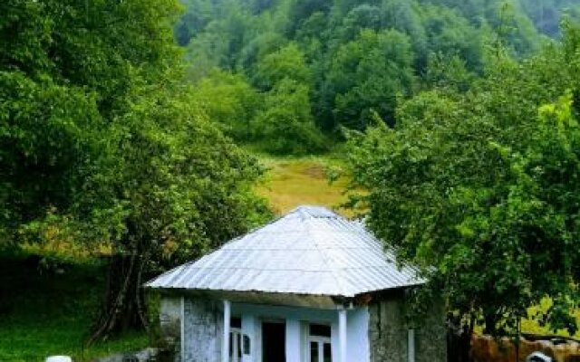 Svaneti. Place in nature for rest