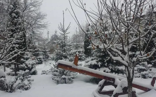 Pension Dor de Bucovina