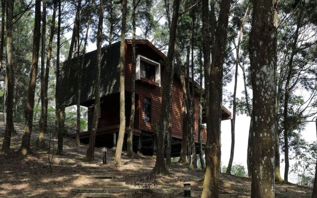 Nine Trees Forest House