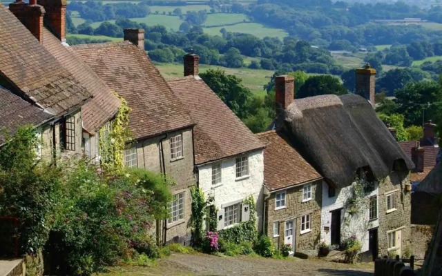The Maple - North Dorset