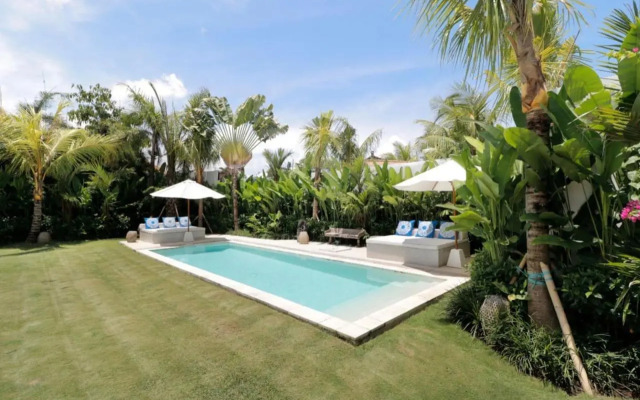 Amazing 3 Bedrooms Villa Canggu
