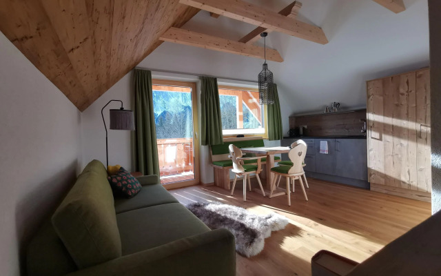 Premium Holiday home in Tauplitz with Sauna