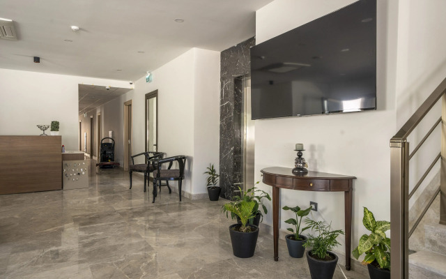 Olive Tree Gündoğan