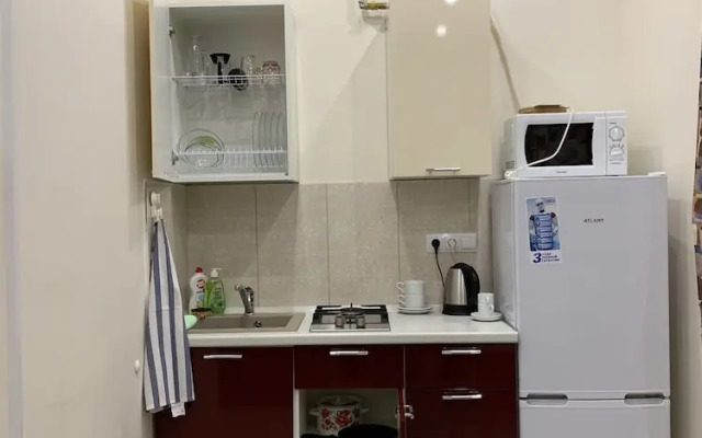 Big appartment near the center