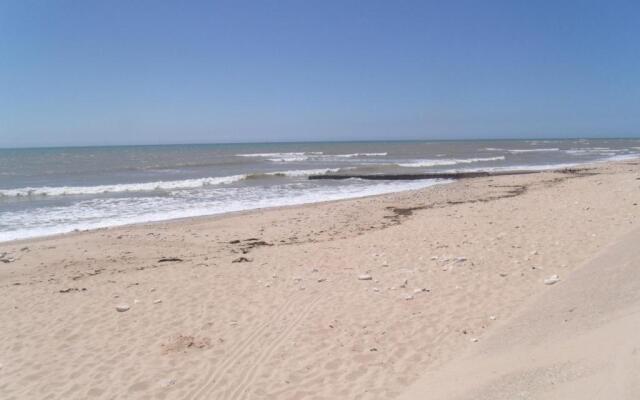 Les Bois Flottés en Ré