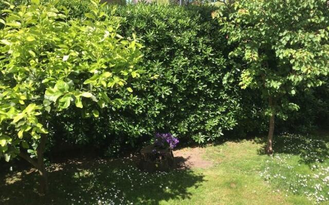 parco fellini fregene