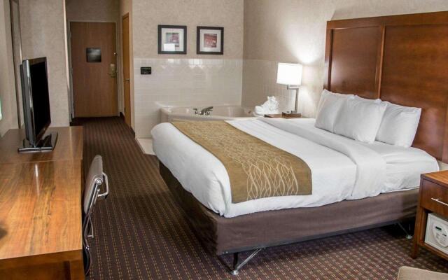 Comfort Inn & Suites Riverview near Davenport and I-80