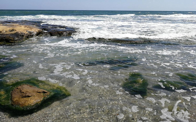 Emerald Beach Resort & Spa,studio ikat310