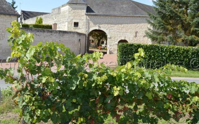 Gîte Ligré, 2 pièces, 2 personnes - FR-1-381-437