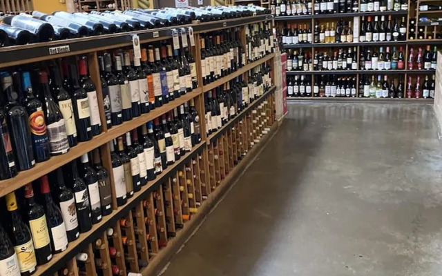 The Mermaid and the Sea Turtle