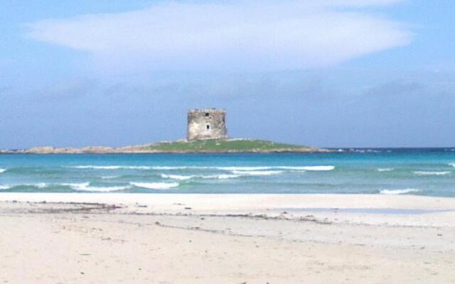 Appartamenti Danimare