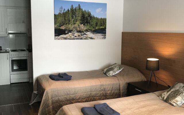 Ruka Safaris - Alinan Tupa