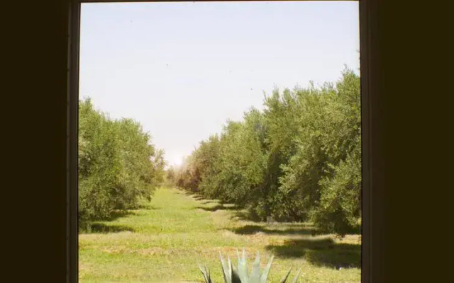 Atlas Olive Retreat