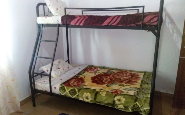 Zazu Hostel