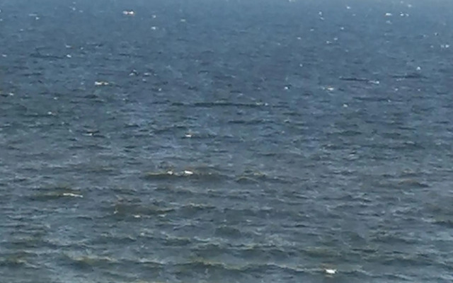 Pension Haus Anneliese