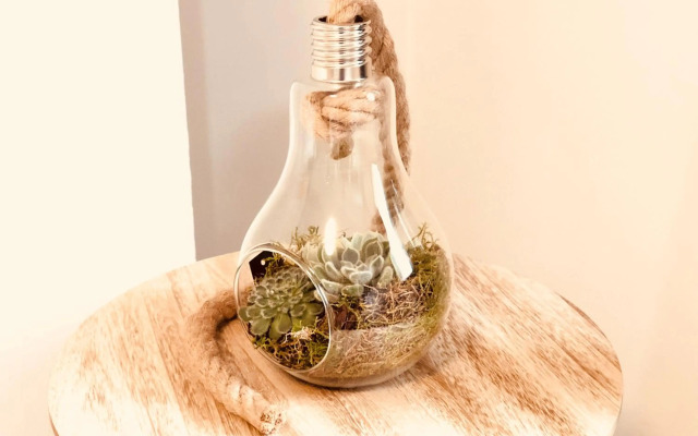 Oupen de dor San Blas