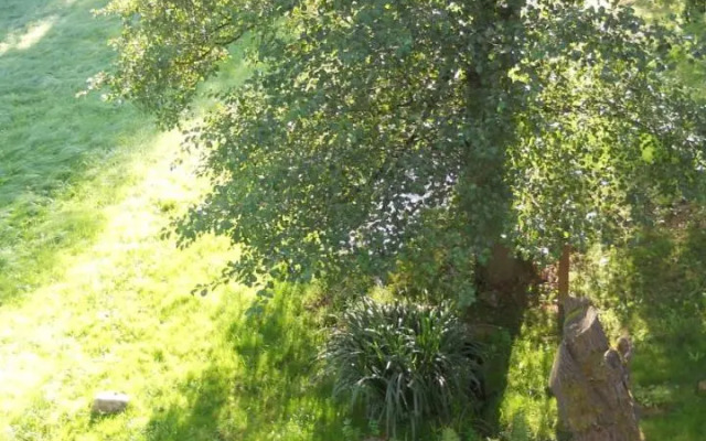 U Dvou lipek pod Broumovskými stěnami