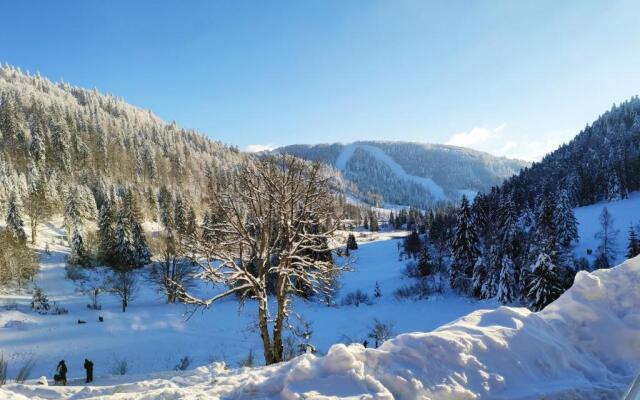 LA BRESSE - Appartement de Charme 3*