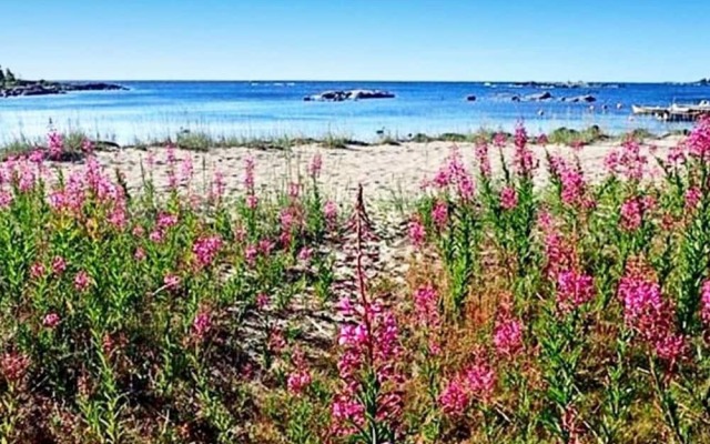 Holiday home GRISSLEHAMN V