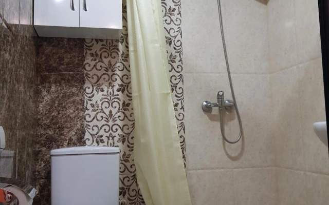 Luxury Apartment-1 in the Center of Yerevan, Safaryans Family