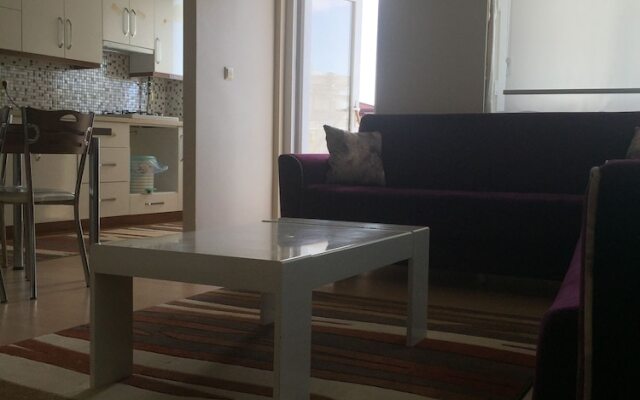 Act Home's