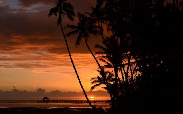 Fijian Oasis