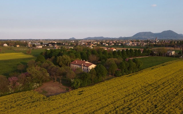 The Mulberries Three Bedroom and two Bathroom Apartment