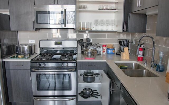 McCormick Place modern 420 friendly 2br-2ba loft in Downtown Chicago Michigan avenue for 6 guests