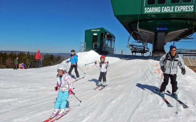 3 Br: Soaring Eagle 201