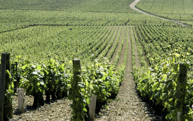 ibis budget Pouilly-en-Auxois