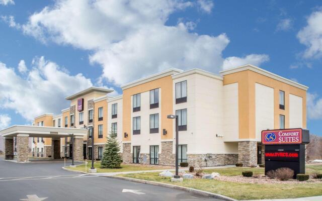 Comfort Suites Cicero - Syracuse North