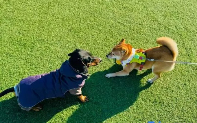 Villa-BlueTree Boutique Guesthouse